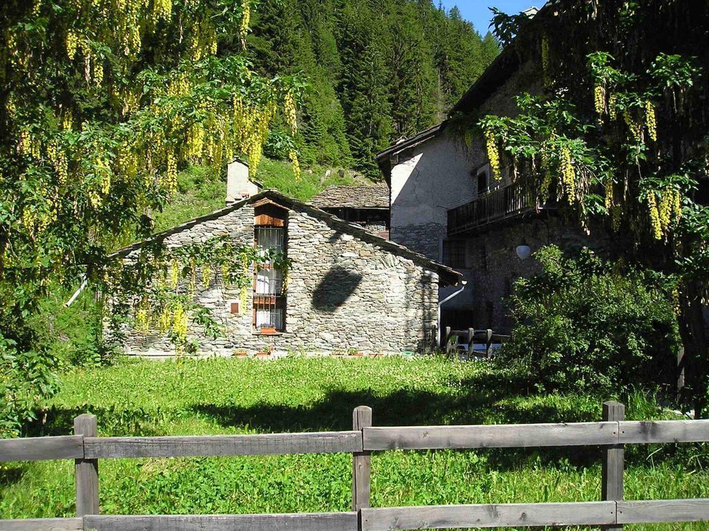 Suisse Saint-Rhemy-En-Bosses